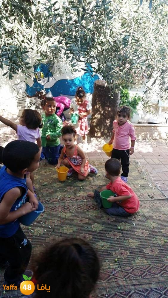 alkeram zatoon3 (18).jpg